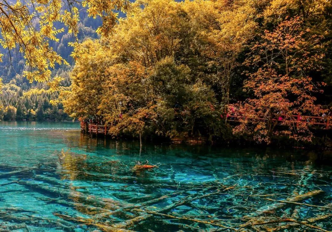 我们赞美四川70年发展变化,真正的四川现状