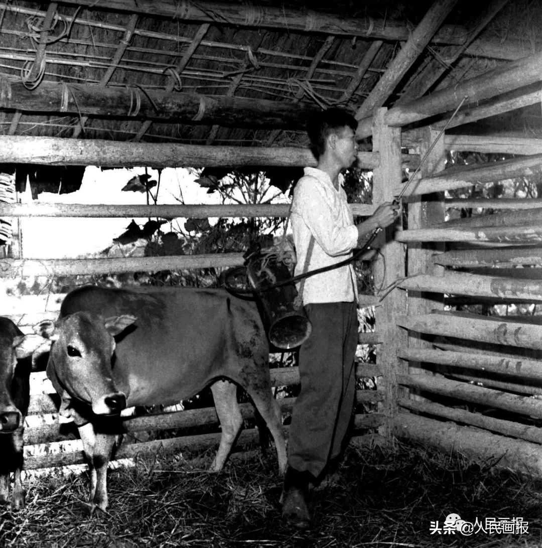 危急时刻他们筑牢生命屏障,守护群众安全他们冲在抗洪一线