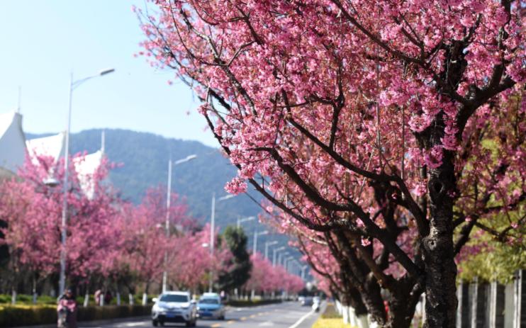 留不住年轻人城市,留不住打工人的五座城市