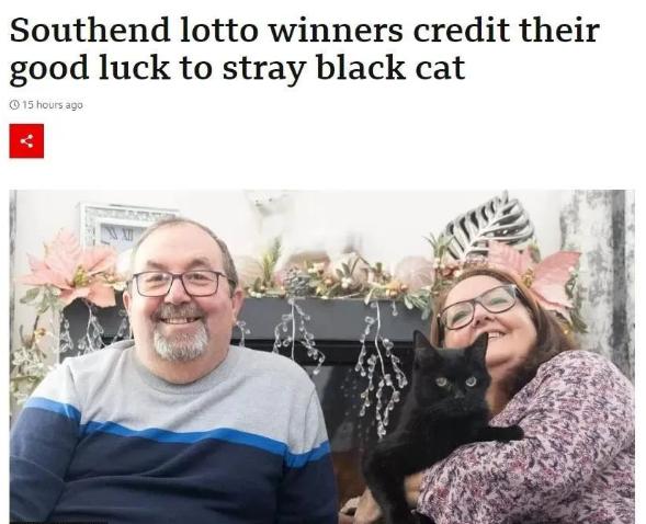 他们收养黑猫后，半年中了百万英镑？谁再说黑猫不吉利！
