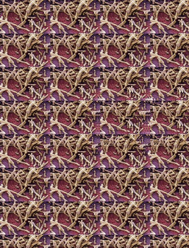 朋友网购收到一条坏的裤子，找客服后被质疑