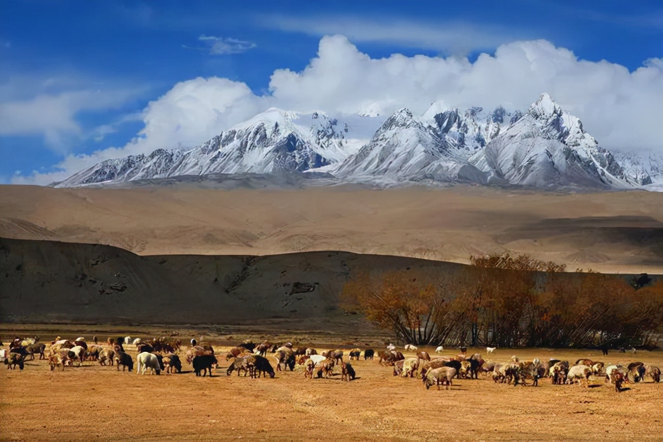 中国的东、南、西、北极在哪里吗？