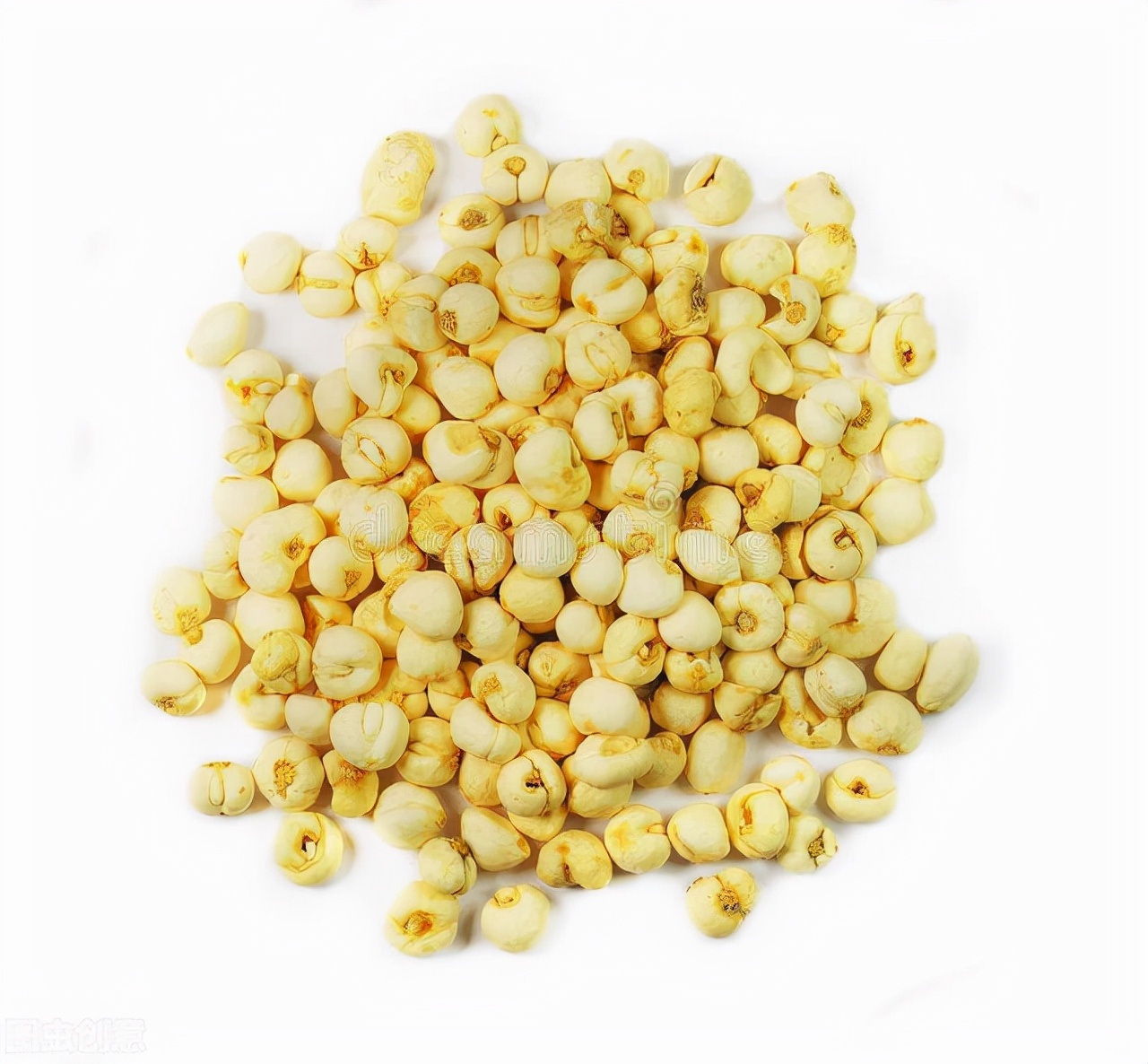 川贝母止咳化痰效果如何,川贝母雪梨止咳化痰做法