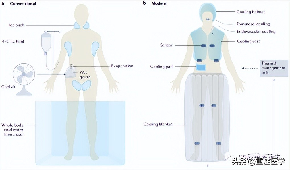 简述重症中暑三种类型的区别,中暑类型有哪三种类型
