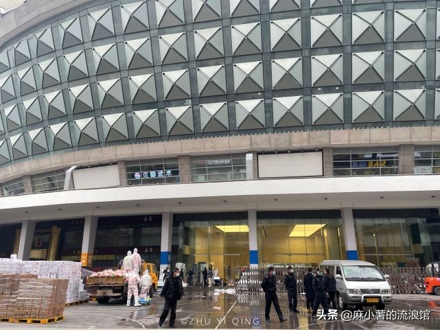 虹口足球场樱花,虹口足球场樱花开在什么地方