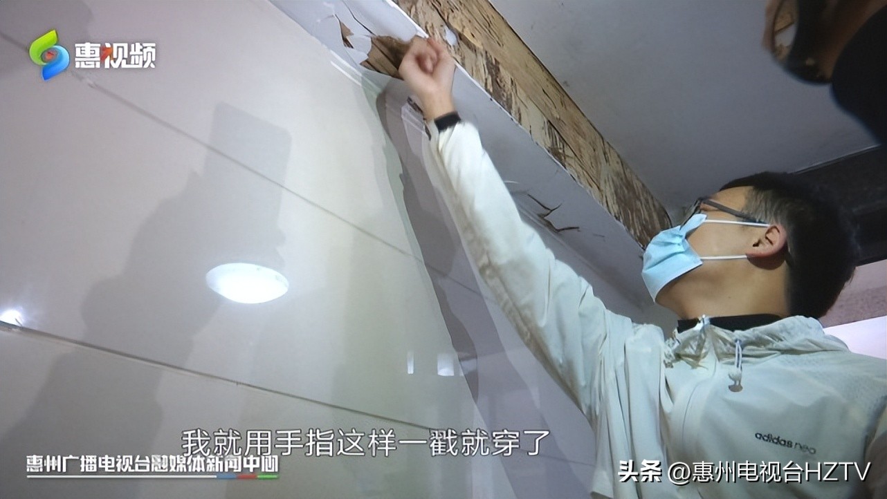 居民楼发现大量蚁穴找哪个部门,小区楼房为什么会有蚂蚁窝