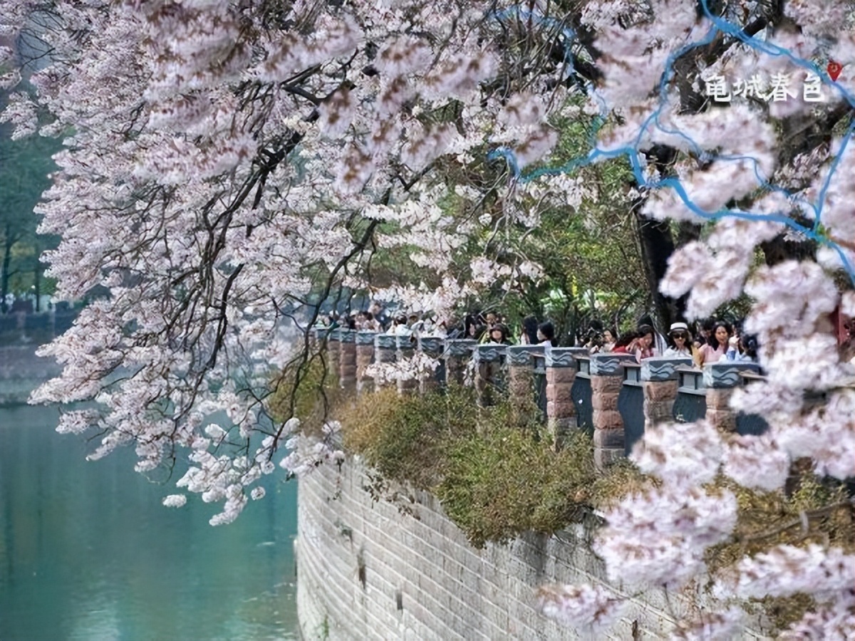 中科院微生物研究所白逢彦,中科院微生物研究所食用菌种