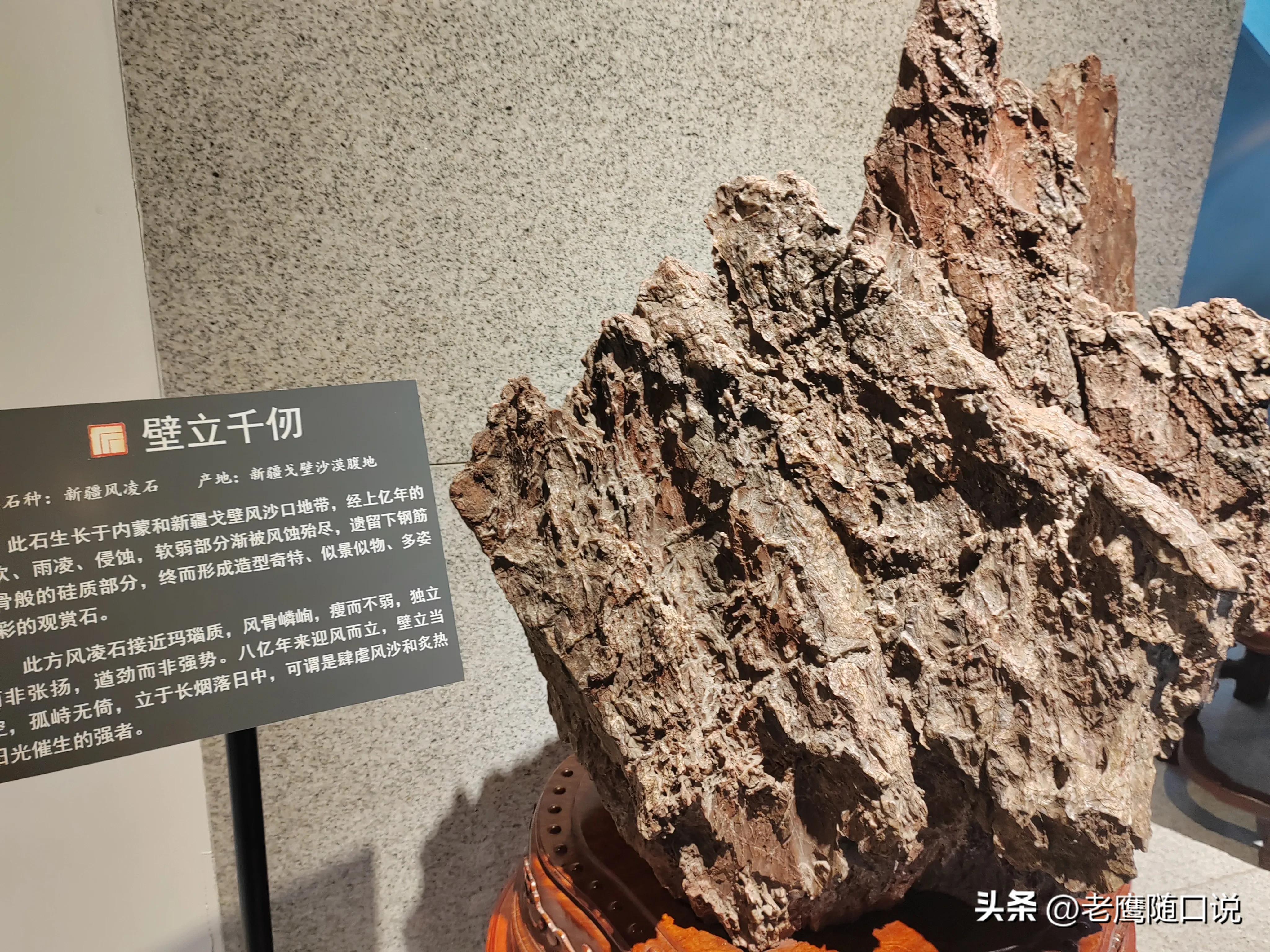 参观青岛博物馆,参观青岛葡萄酒博物馆感受