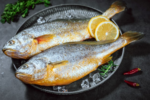 常见的鱼哪种鱼最好吃,中国哪里的鱼最好吃排行榜