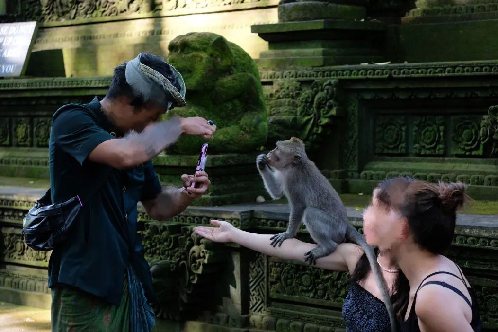 巴厘岛旅游必去100个地方,旅游目的地巴厘岛