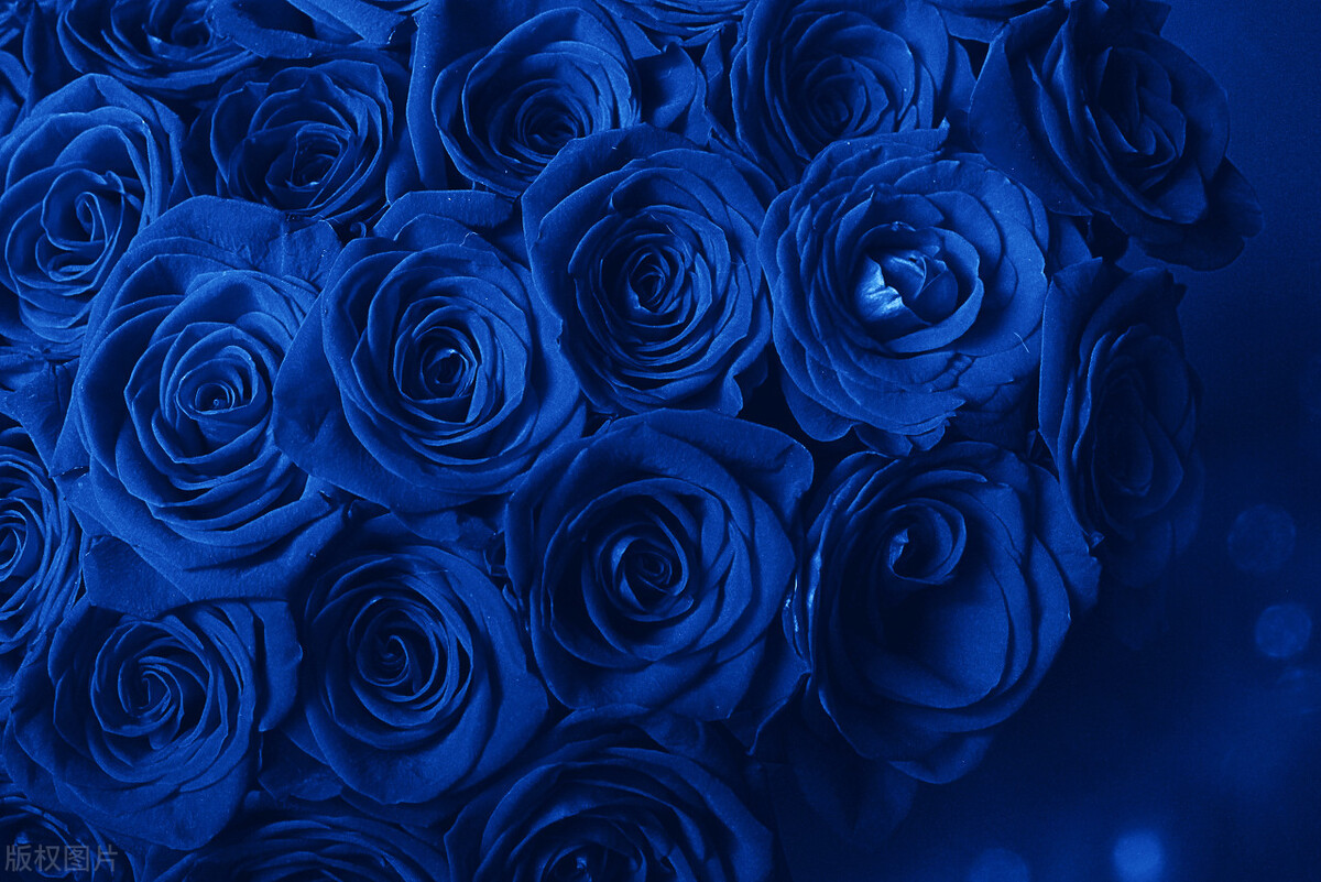 心不变，情不移，山河万里路，相思在心中