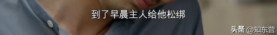 只想听到一句我爱你,没关系我爱你原唱完整版