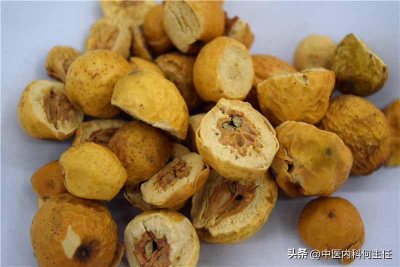 土郎中用一句话治好小男孩的病,土郎中用一条虫子治病后续