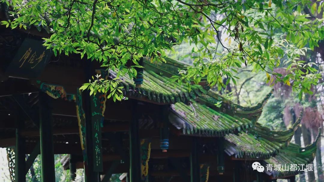 五一都江堰耍水一日游攻略,五一都江堰旅游攻略