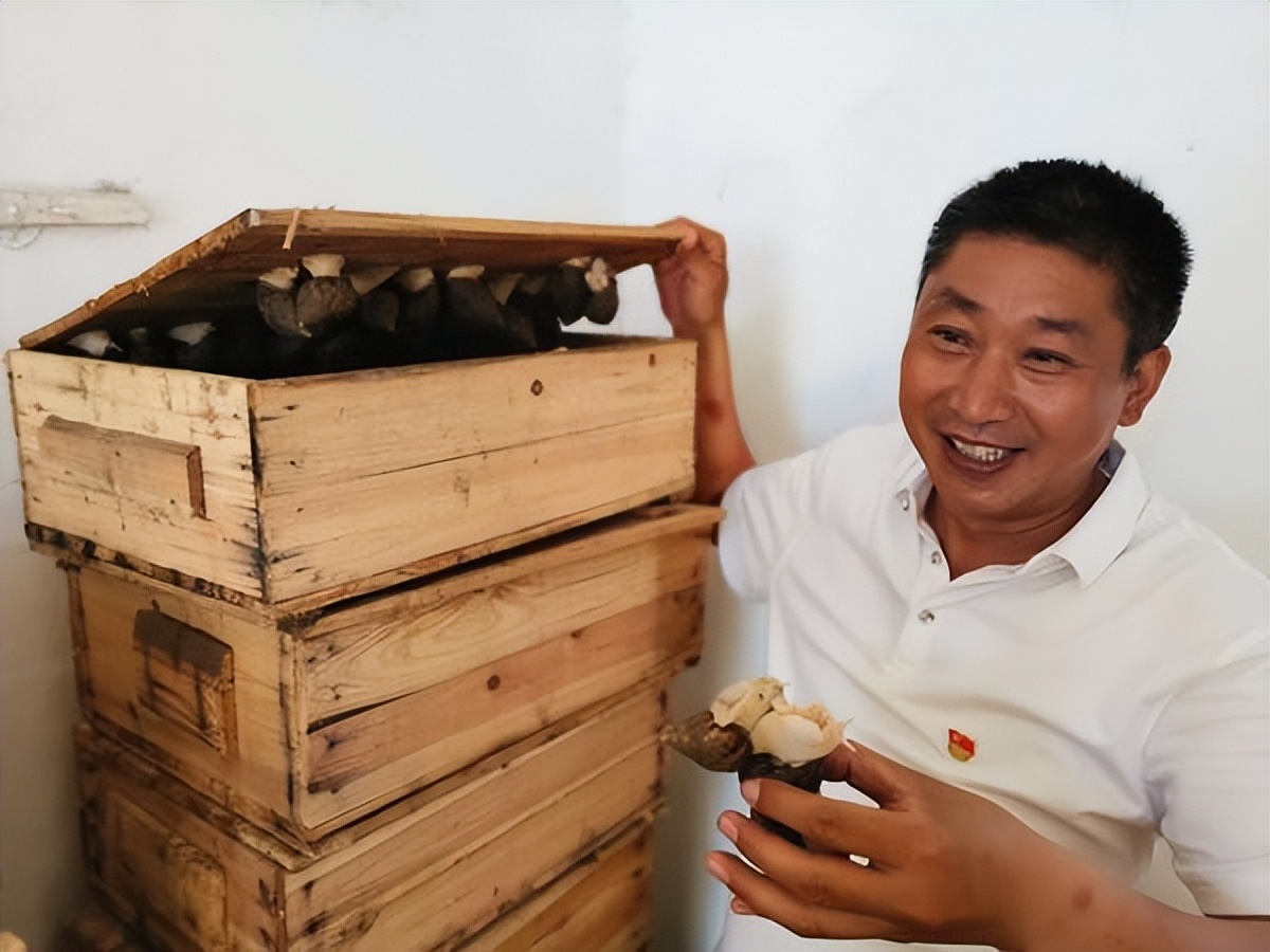 蜗牛可以做花肥吗,蜗牛做美容产品