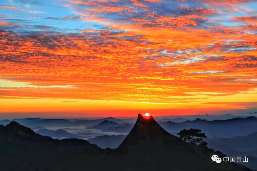 歙县记者节,记者采访风景视频素材