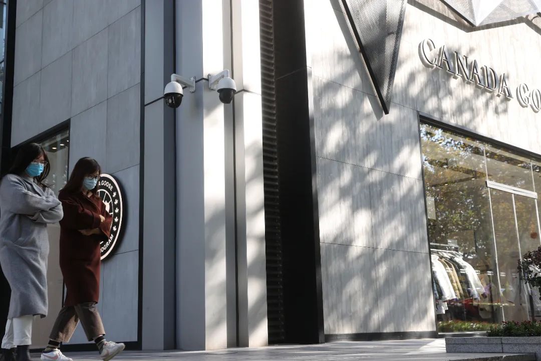 加拿大鹅为什么要搞双标,加拿大鹅为何有双标底气央视解读