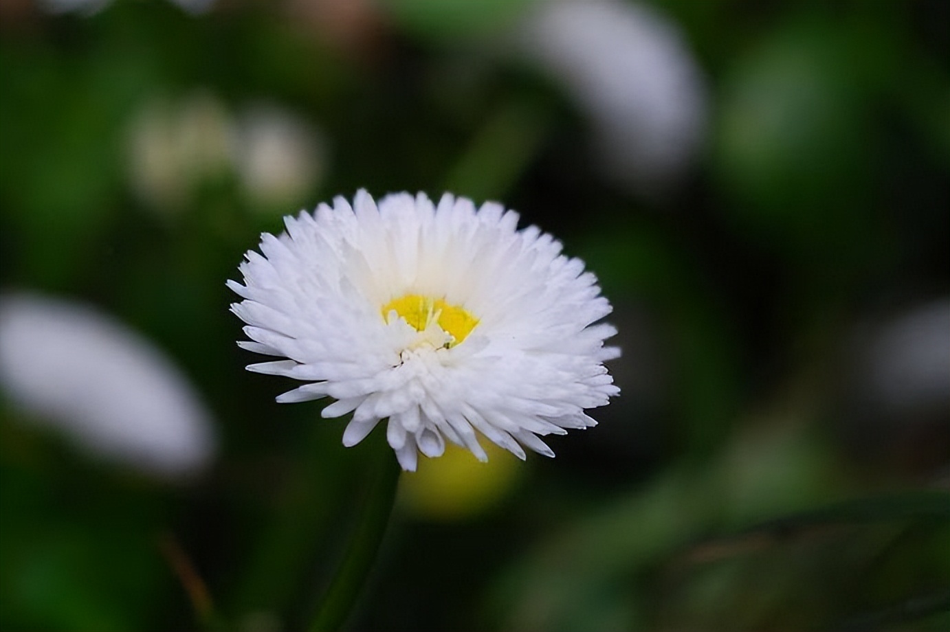 三种老人晚年很有福气越活越幸福,老人晚年生活幸福需要具备的心态
