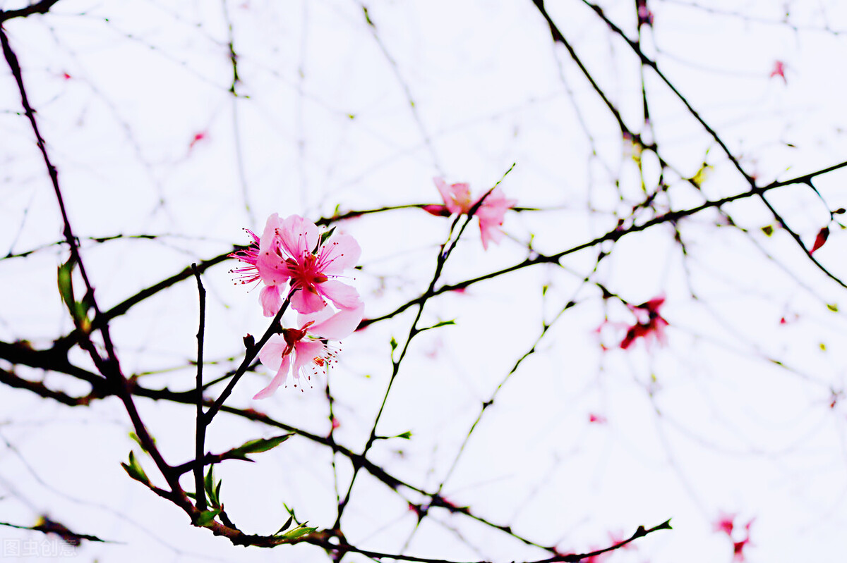 问号的内涵,问号的认识