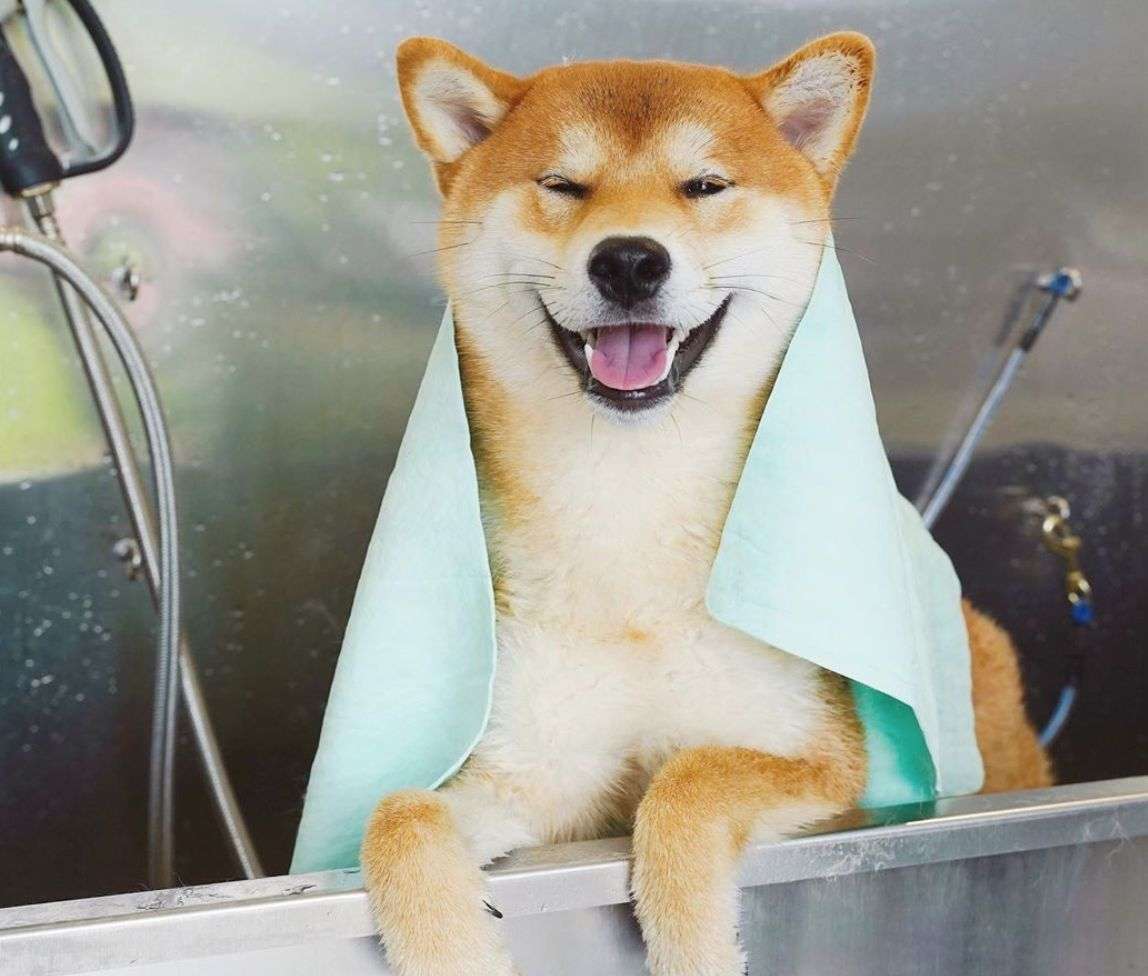 真人实测17款身体乳,沐浴乳测评真实推荐