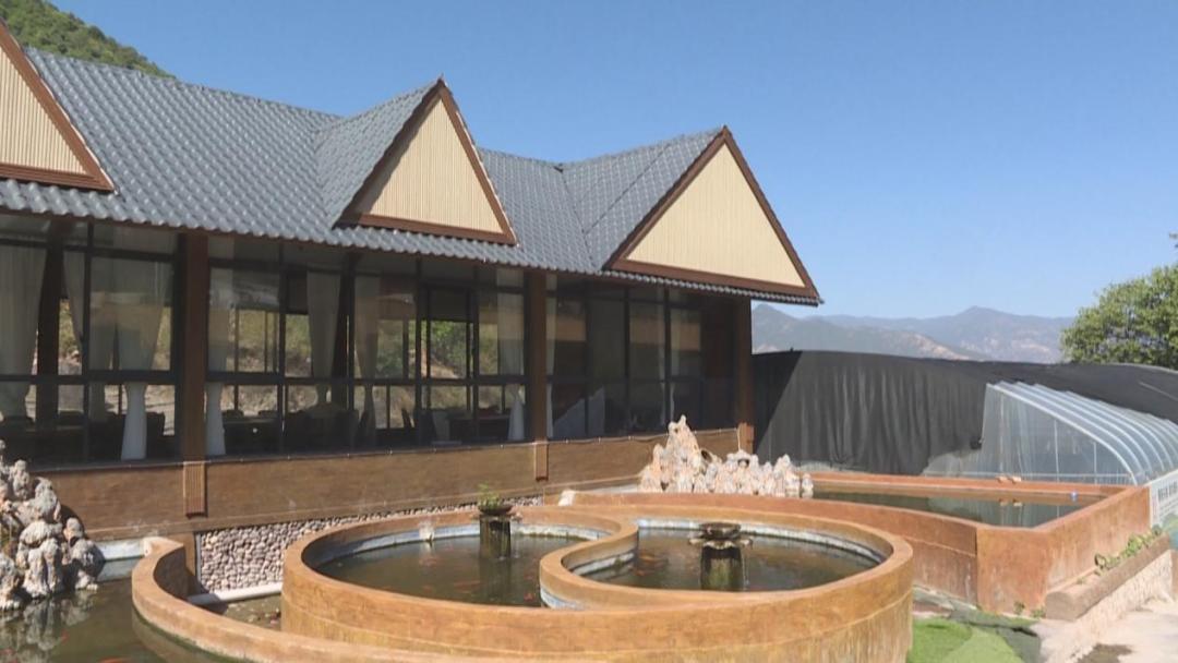 实施冷水渔业振兴,解读乡村振兴养鱼