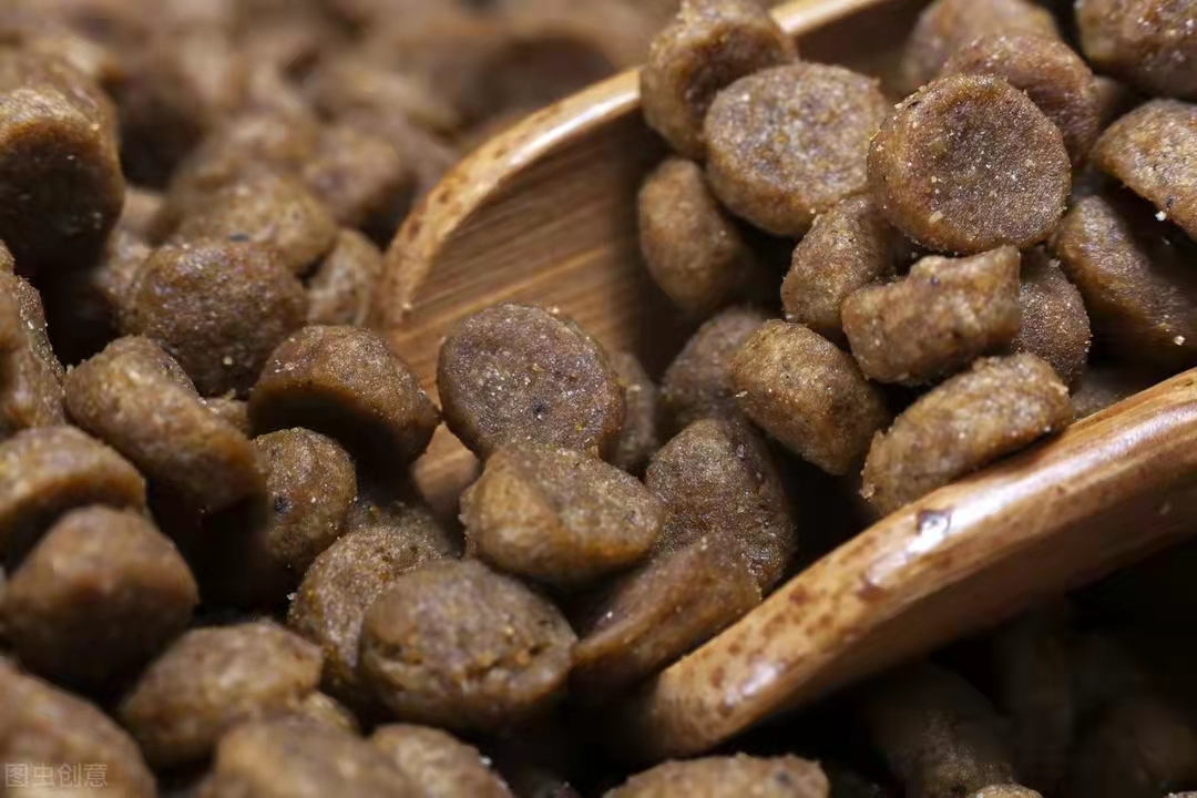 狗狗挑食该怎么办,狗狗挑食十种方法