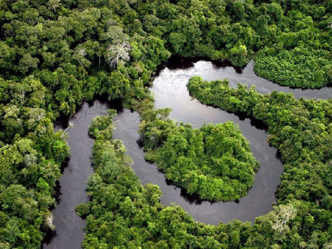 亚马逊河到底有多可怕没有桥梁,亚马逊河有多厉害为什么没有桥