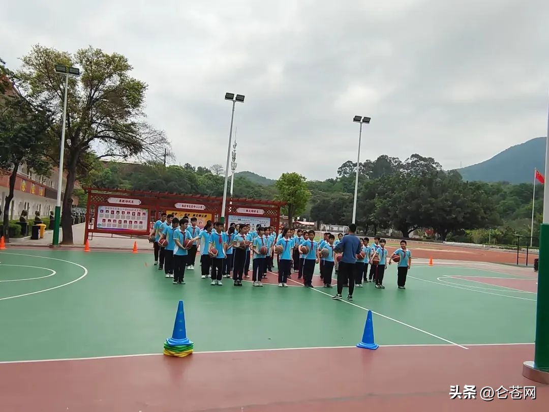 苍岭镇中心小学,营庄小学夏季开放日活动