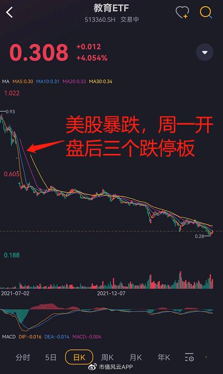 中国qdii基金,我国qdii可以投资的有