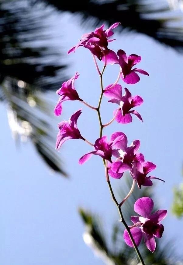 古人过年前都准备什么礼物,古人送礼送什么礼物