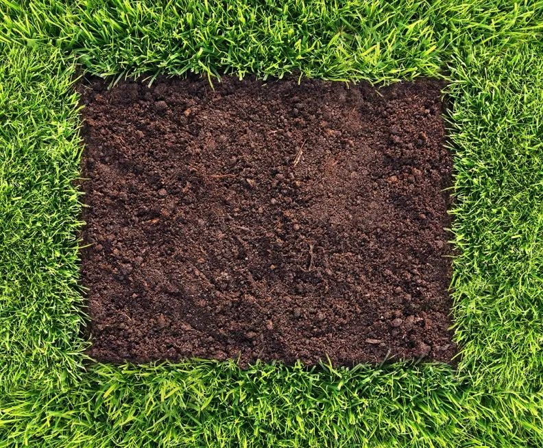 ps怎么把图层变成文本图层,ps从一个图层复制到另一图层