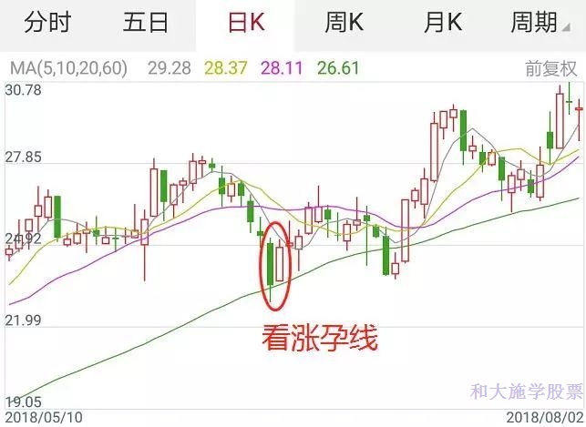 k线孕育组合形态,股票底部孕线形态图解