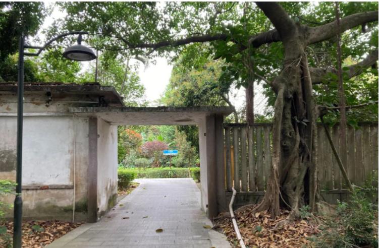 异乡麻风病院里，潮汕阿伯的爱与救赎