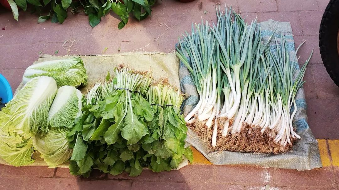 唐山哪卖辽峰葡萄,两串葡萄卖五百