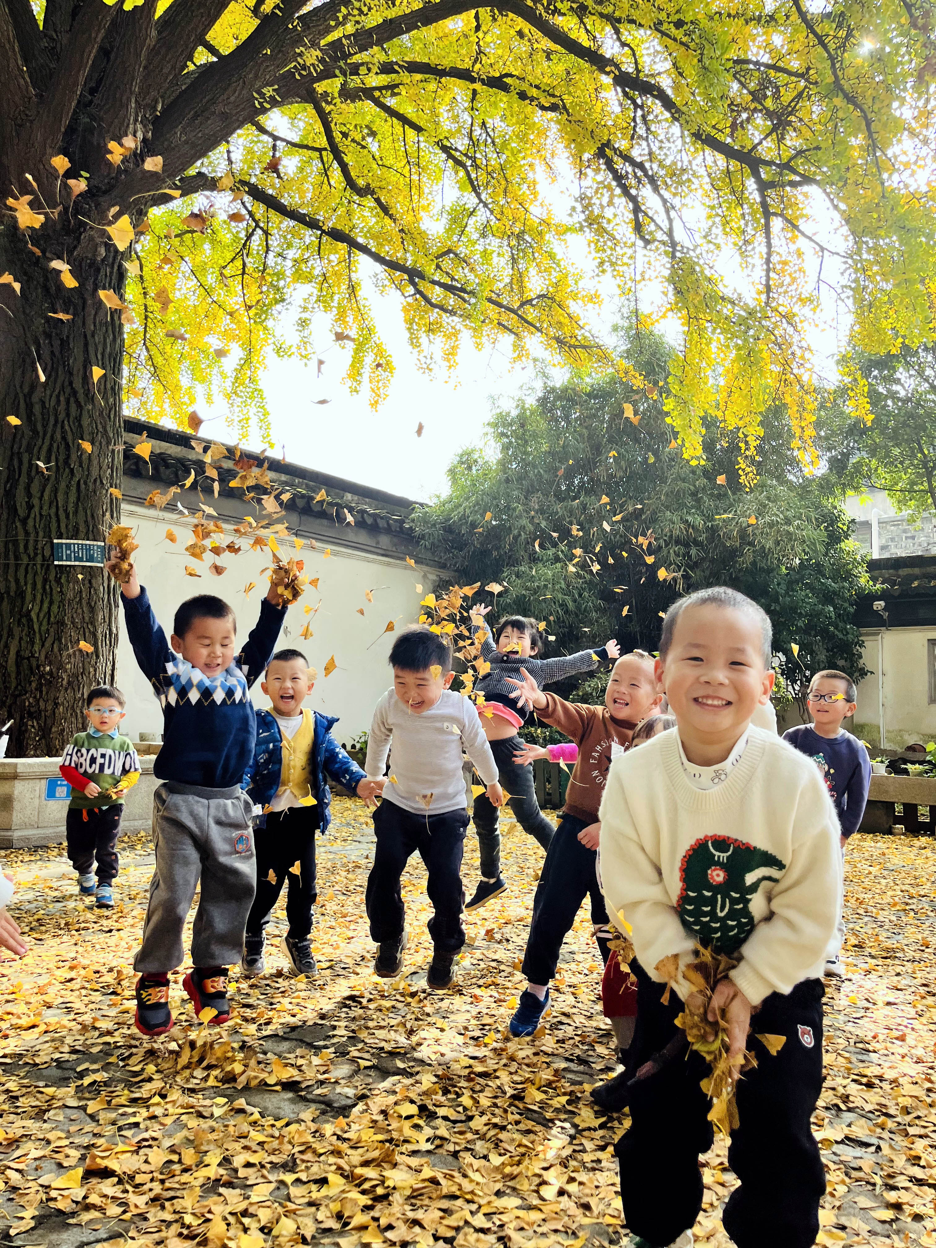 苏州小朋友用双手与银杏叶展开一场亲密接触享受快乐