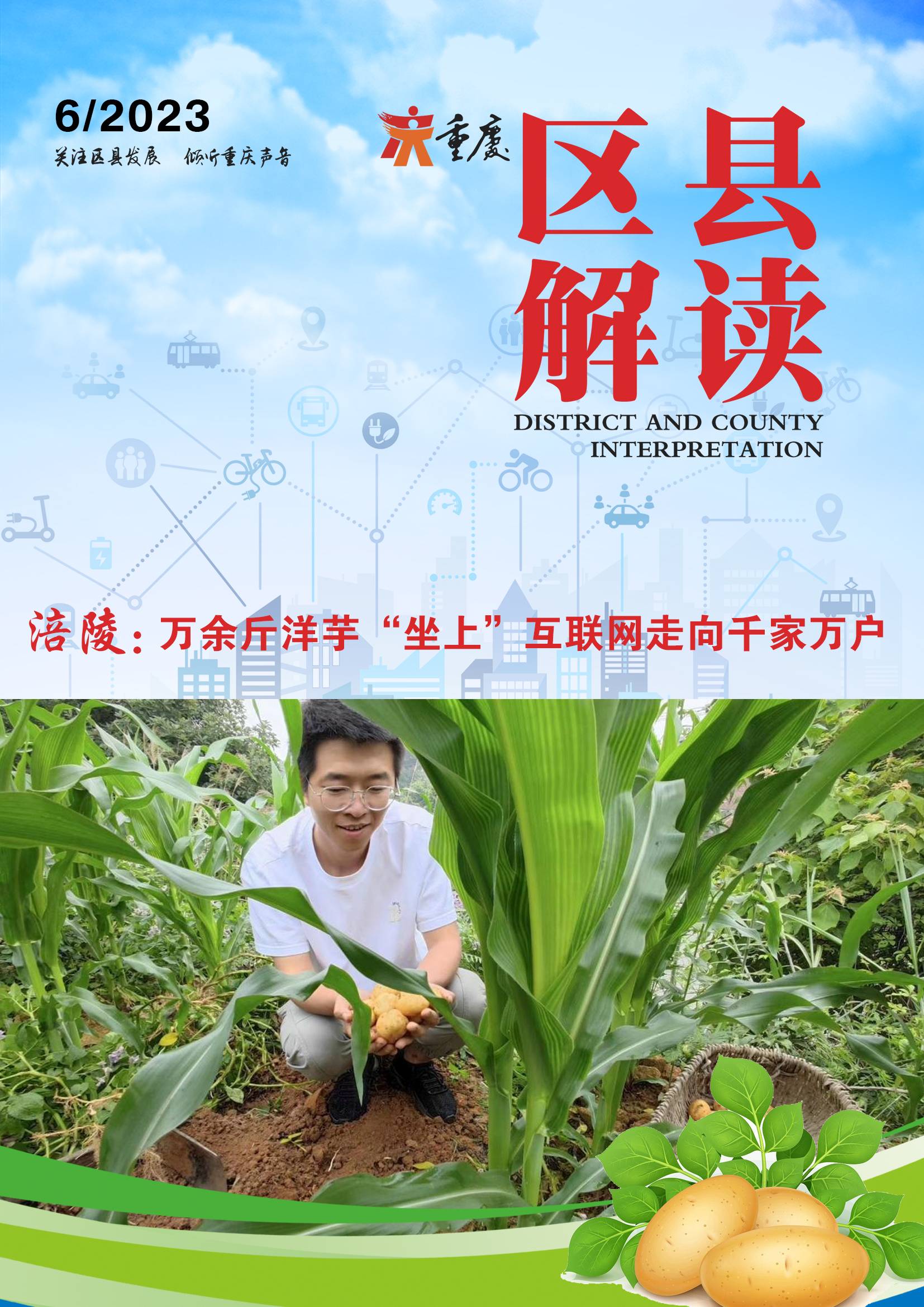 涪陵：万余斤洋芋“坐上”互联网走向千家万户