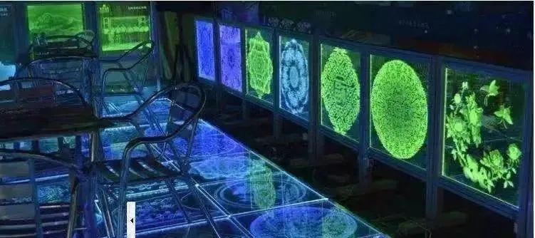 亚克力应用,亚克力大规模应用在哪些地方