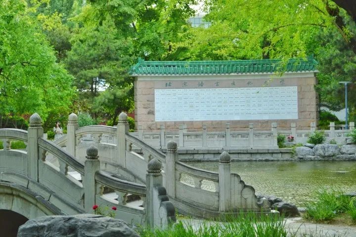 优秀的新疆男孩,优秀的新疆小伙