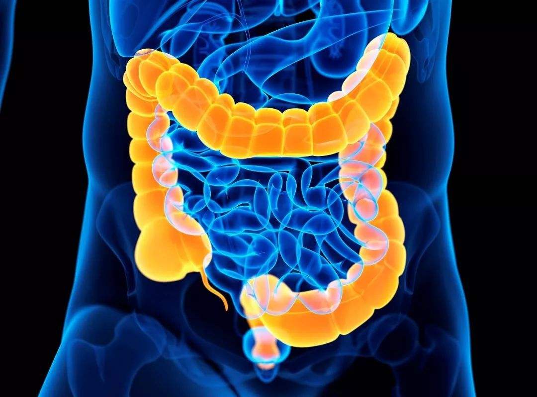 老年人如何缓解便秘,老年人便秘最快的方法一招通便