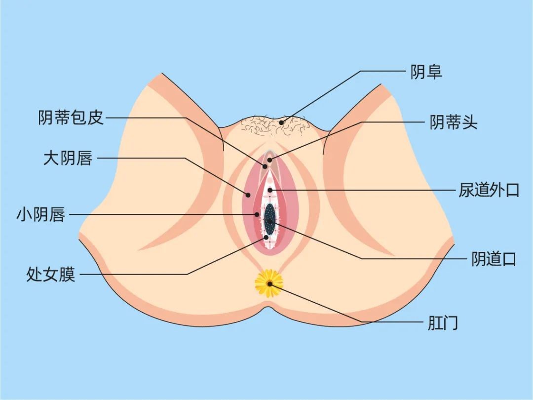 大便控制不住是生小孩导致的吗,大便直接从子宫外排出为什么