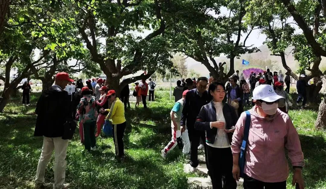 金昌旅游景点攻略沙漠,金昌市可以玩的地方