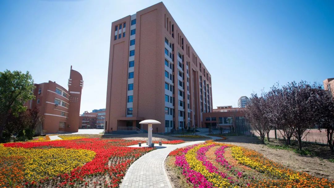 天津滨海新区国际学校,天津滨海区国际私立学校