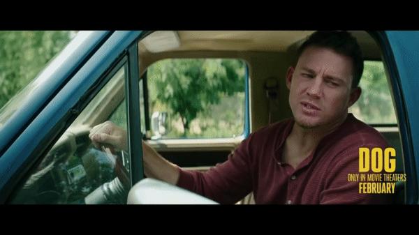 不爱学习以后能做什么,不爱学习做练习生