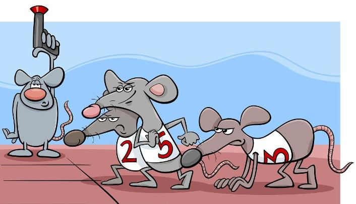 美国崇尚所谓的快乐教育,美国穷人的严格教育