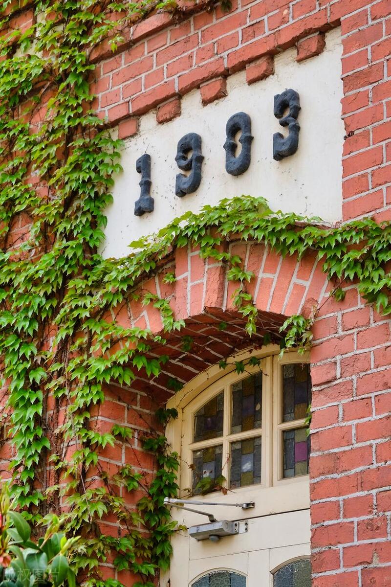 青岛必去五大景点旅游攻略,青岛必去的旅游攻略