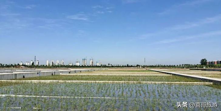 幻塔人工岛在哪里,幻塔人工岛内风景点