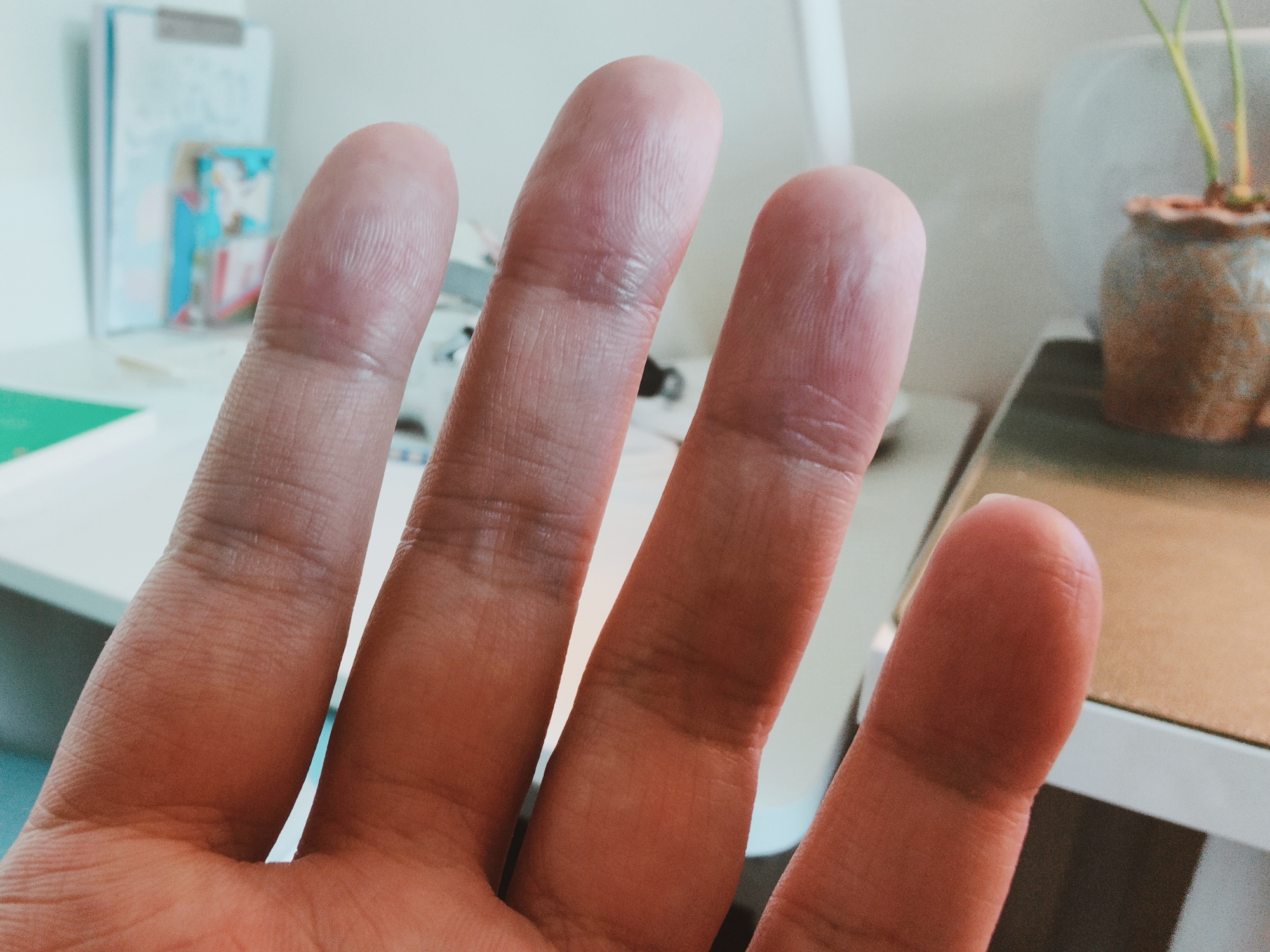 实诚老板,实诚老板视频