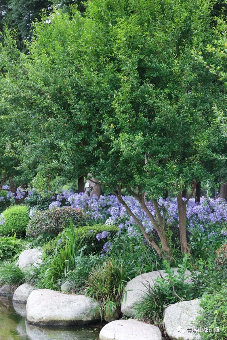 端午小长假怎么玩？水灵妹为你奉上超细致的都江堰深度游、休闲游、畅快游旅行攻略，绝对实用！