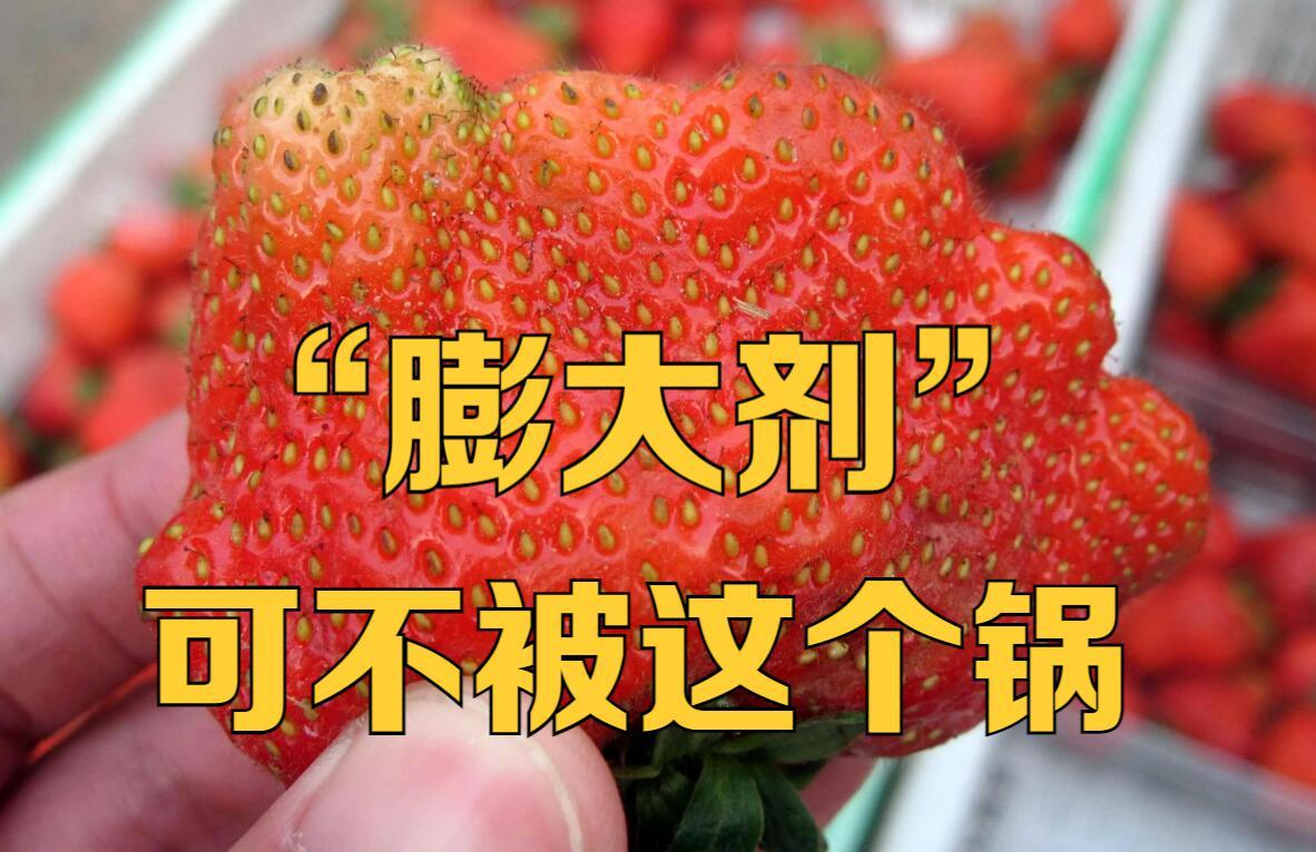 膨大剂是什么意思,膨大剂指哪些产品