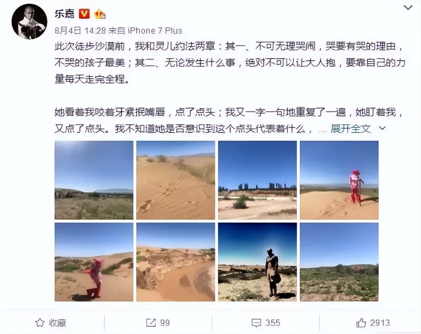 乐嘉成长经历过程,乐嘉失败的经历